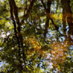 Meet your Posher, Kenneth